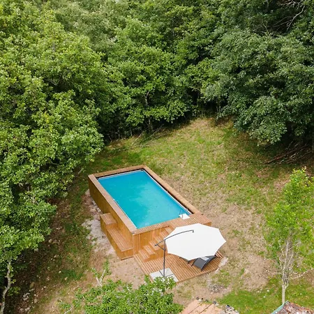 Pet Friendly In Castelnuovo Val Di Cec